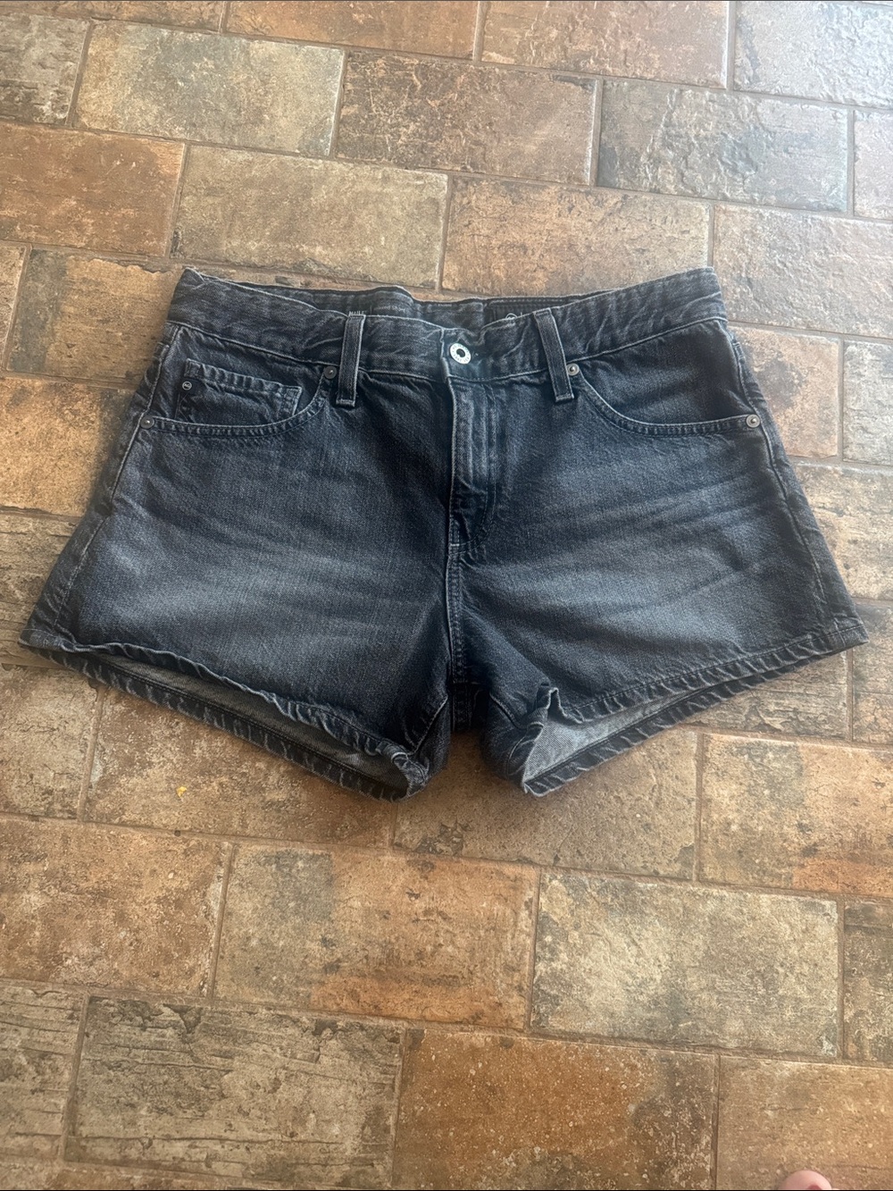 Women's AG Black Denim Haley Cutoff Shorts